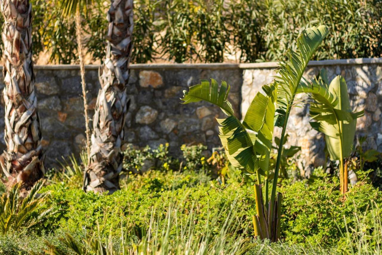 Istia Luxury Villas Karpathos Exterior photo
