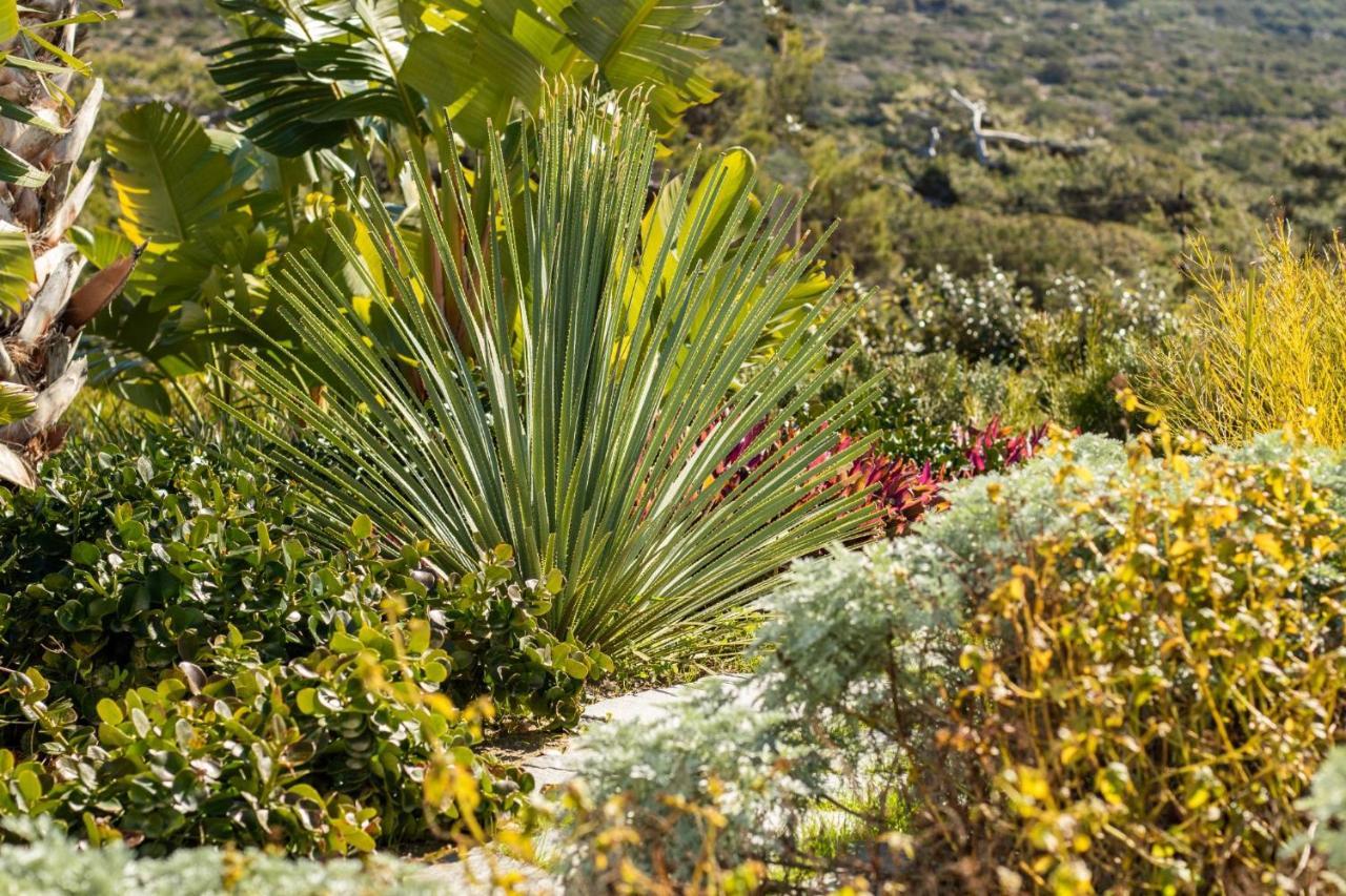 Istia Luxury Villas Karpathos Exterior photo